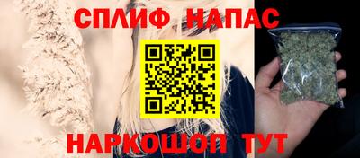 шишки Заволжье