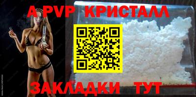 шишки Заволжье
