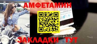 шишки Заволжье
