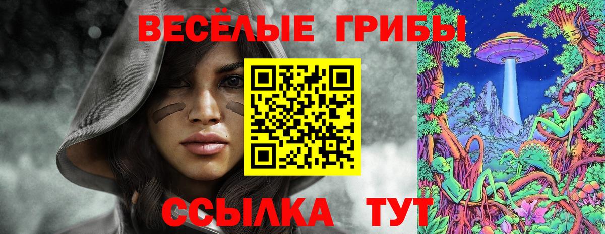 Псилоцибиновые грибы Magic Shrooms Мичуринск